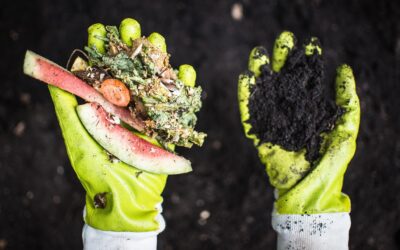 Kokoza: Jak zajistit, aby lidé začali třídit bioodpad